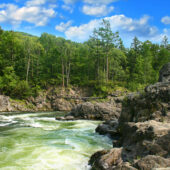 Aliquam erat volutpat